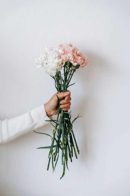 A person wearing a white long-sleeved garment is holding a fresh bouquet of carnations against a plain white wall. The bouquet consists of white and soft pink carnations with ruffled petals, arranged