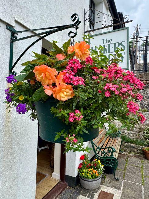 A large hanging flower basket mounted on a black wrought iron bracket outside a building, featuring an abundant display of vibrant, fresh flowers. The arrangement includes peach and coral begonias wit